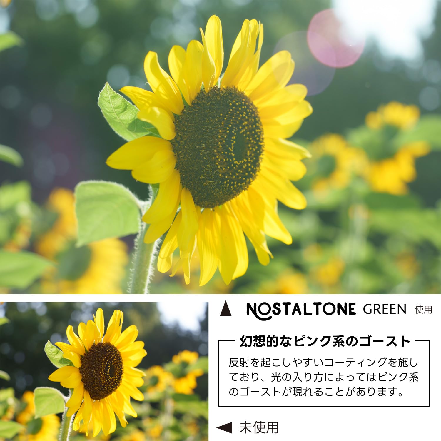 Amazon | ケンコー(Kenko) ソフトフィルター ノスタルトーン・グリーン